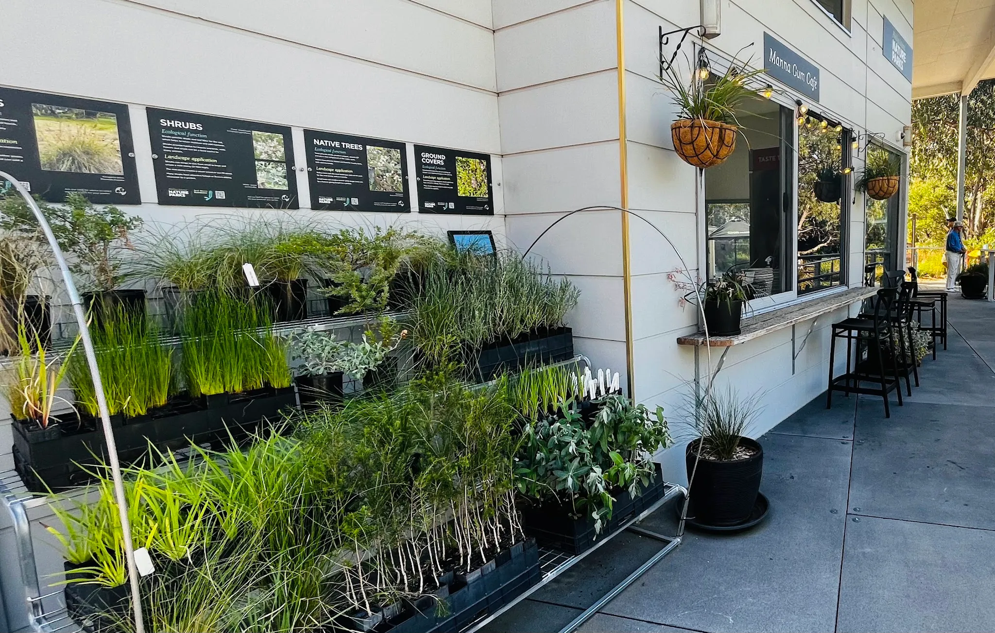 Exterior of Manna Gum Cafe with native plant display and educational signage along the shopfront